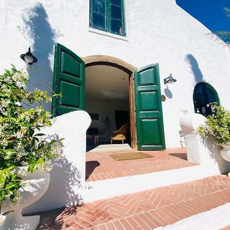 Vineyard Retreat 호텔 프란쉬후크 외부 사진