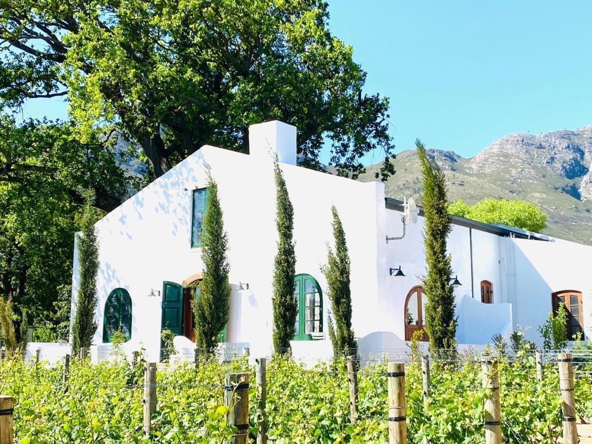 Vineyard Retreat 호텔 프란쉬후크 외부 사진